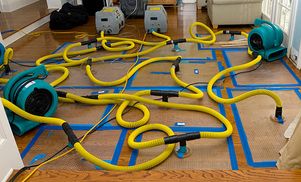 Professional Sewage Cleanup technician working in Burlington, CO